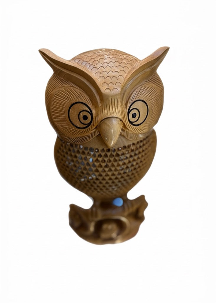 Ovo Drake Owl
